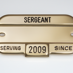 RECOGNITION PLATE